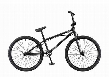 aresbikes steelo fs 24